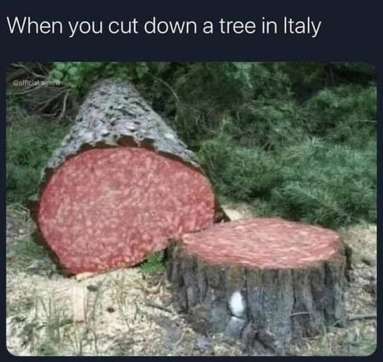 When you cut down a tree in Italy