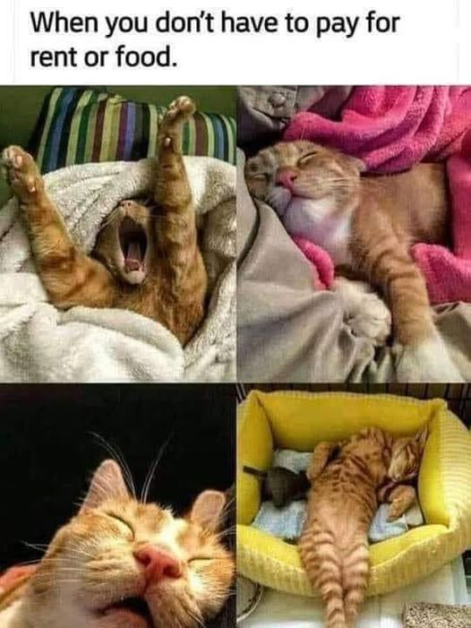 When you don't have to pay for rent or food.