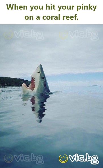 When you hit your pinky on a coral reef.