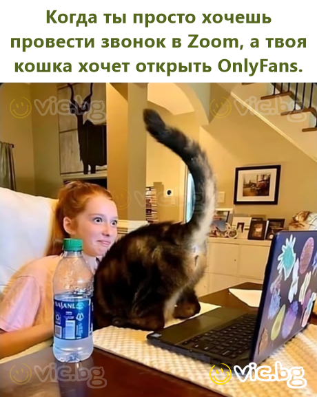 When you just wanna do your Zoom call but your cat wants to start an OnlyFans.