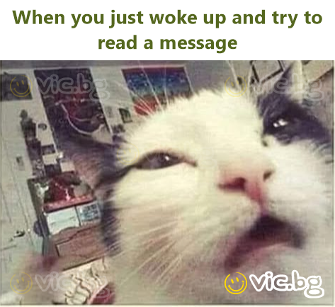 When you just woke up and try to read a message