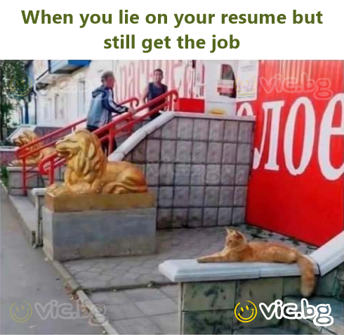 When you lie on your resume but still get the job