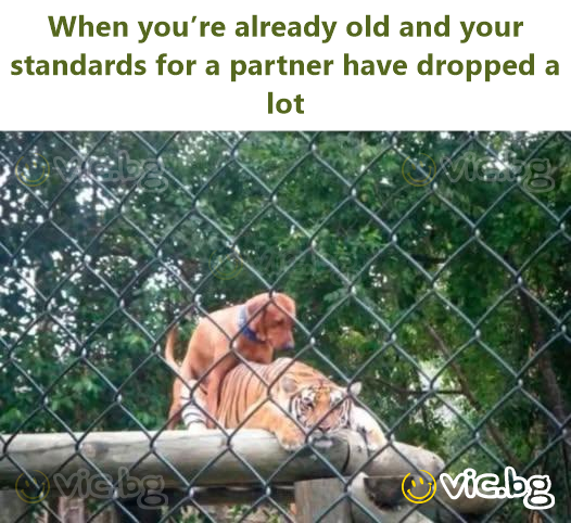 When you’re already old and your standards for a partner have dropped a lot