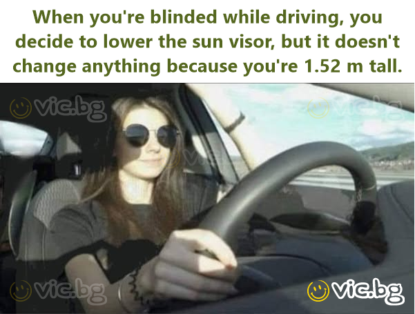 When you're blinded while driving, you decide to lower the sun visor, but it doesn't change anything because you're 1.52 m tall.