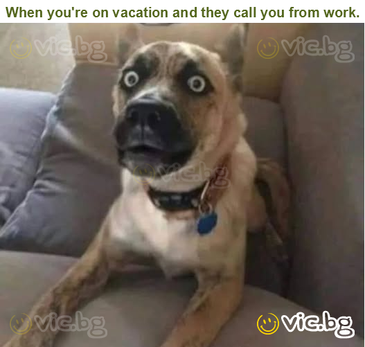 When you're on vacation and they call you from work.