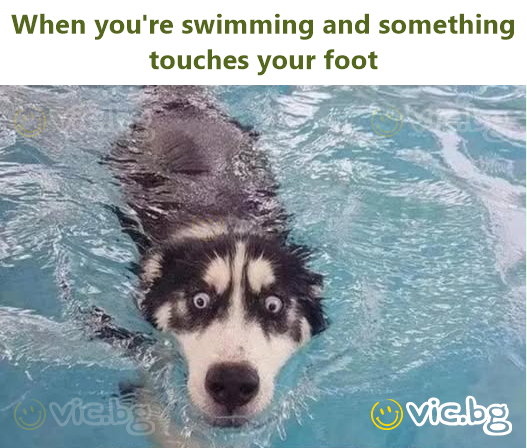 When you're swimming and something touches your foot