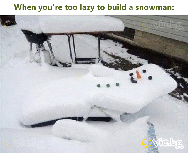When you're too lazy to build a snowman: