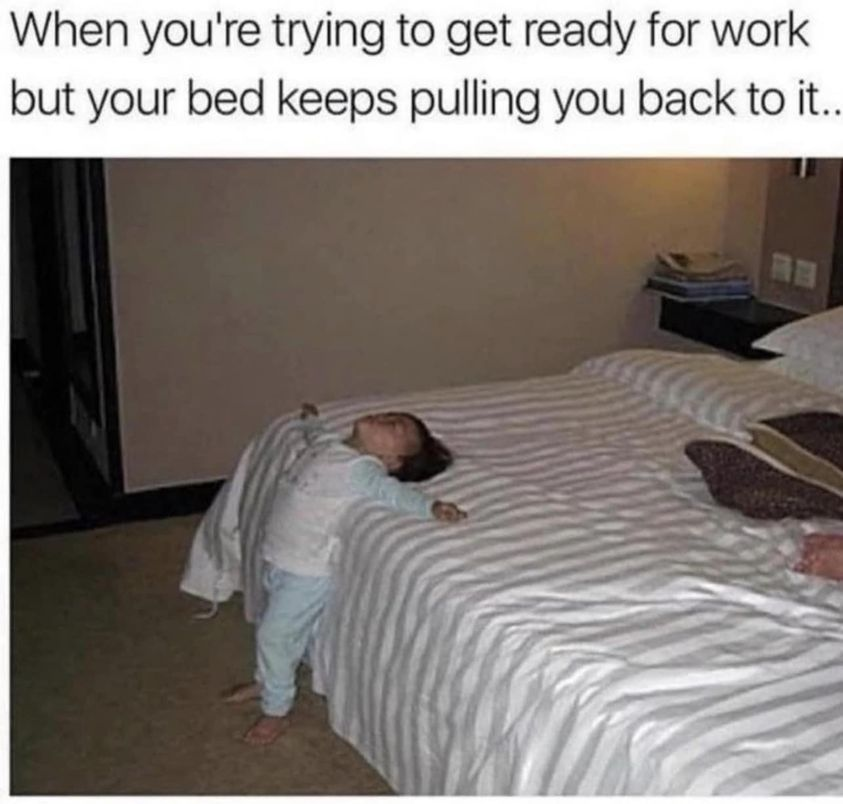 When you're trying to get ready for work but your bed keeps pulling you back to it..
