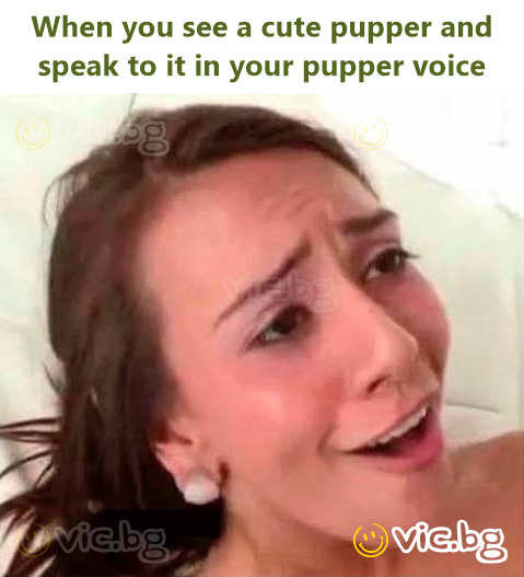 When you see a cute pupper and speak to it in your pupper voice