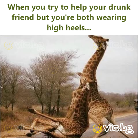 When you try to help your drunk friend but you're both wearing high heels...