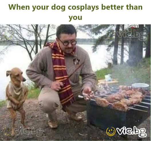 When your dog cosplays better than you