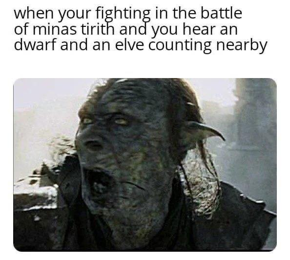 When your fighting in the battle of minas tirith and you hear an dwarf and an elve counting nearby