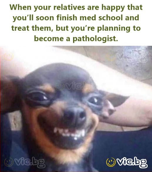 When your relatives are happy that you’ll soon finish med school and treat them, but you’re planning to become a pathologist.