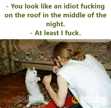 - You look like an idiot fucking on the roof in the middle of the night. - At least I fuck.
