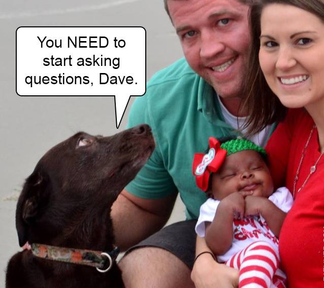 You should start asking questions