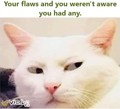 Your flaws and you weren't aware you had any.