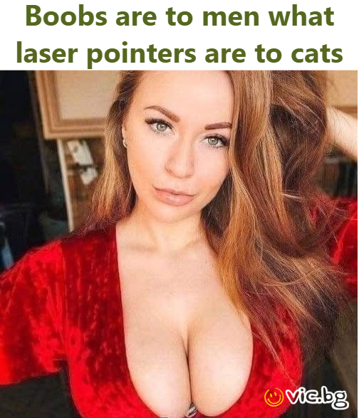 Воовs are to men what laser pointers are to cats