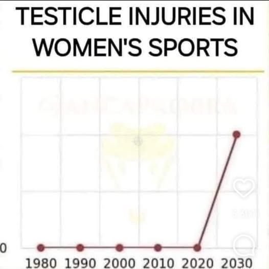 Теsтiсlе injuries in women's sports 1980 1990 2000 2010 2020 2030