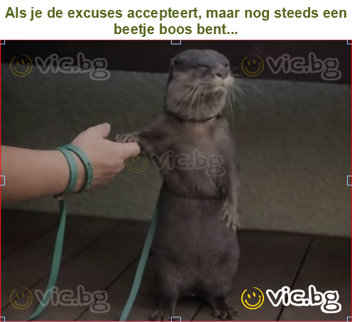 Als je de excuses accepteert, maar nog steeds een beetje boos bent...