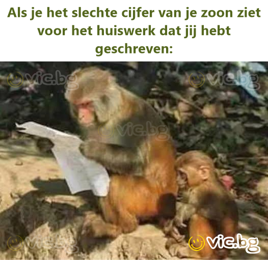 Als je het slechte cijfer van je zoon ziet voor het huiswerk dat jij hebt geschreven: