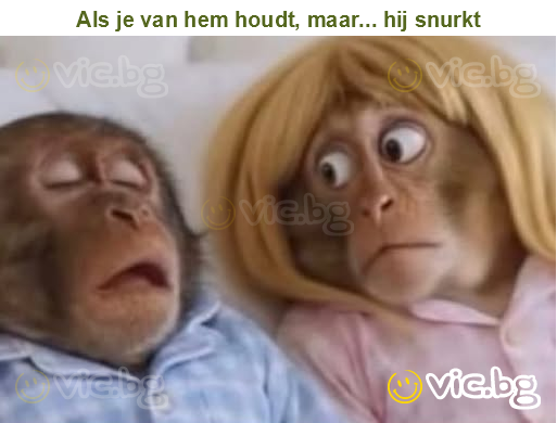 Als je van hem houdt, maar... hij snurkt