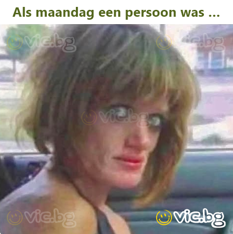 Als maandag een persoon was …