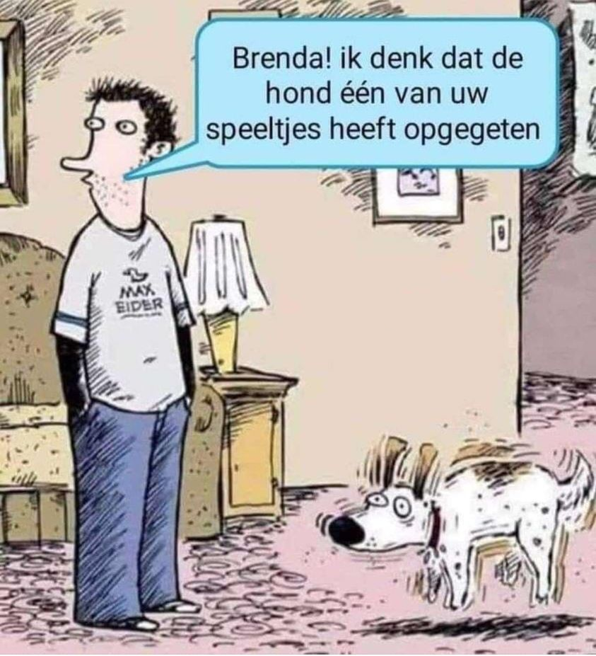Brenda! ik denk dat de hond één van uw	speeltjes heeft opgegeten