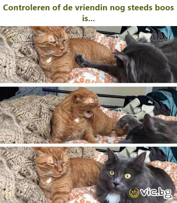 Controleren of de vriendin nog steeds boos is...