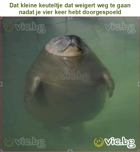 Dat kleine keuteltje dat weigert weg te gaan nadat je vier keer hebt doorgespoeld