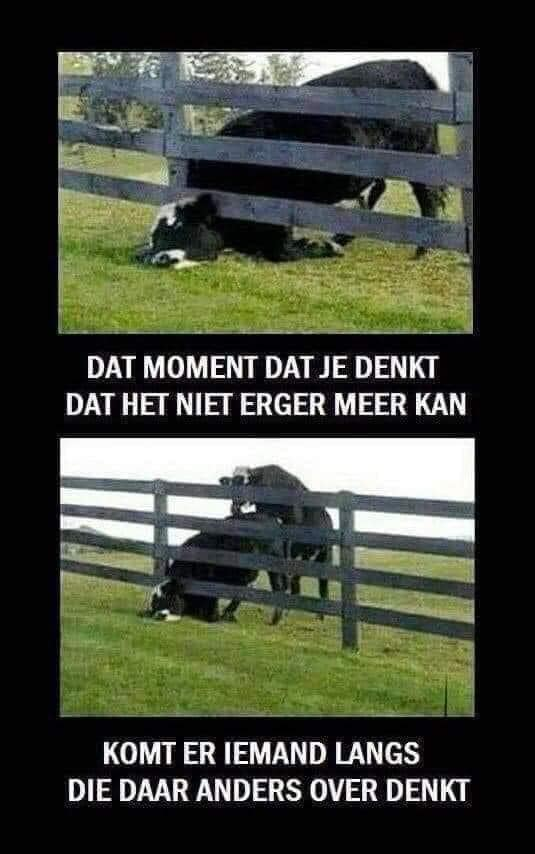 Dat moment dat je denkt dat het niet erger meer kan. Komt er iemand langs die daar anders over denkt