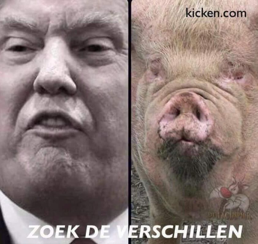 Dirl ach spier zoek de verschillen