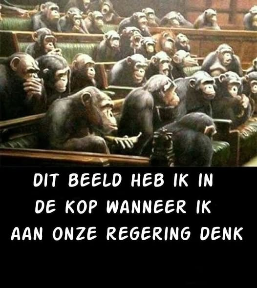 Dit beeld heb ik in de кор wanneer ik aan onze regering denk