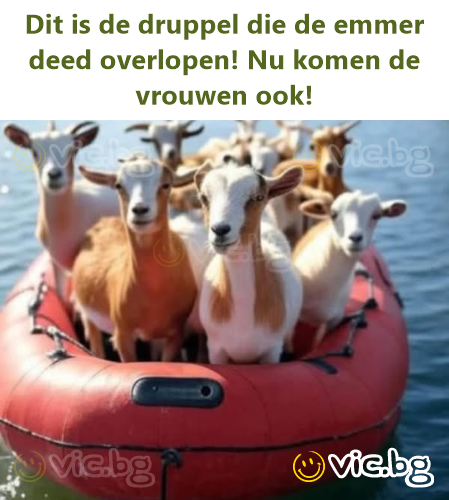 Dit is de druppel die de emmer deed overlopen! Nu komen de vrouwen ook!