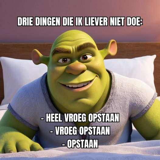 Drie dingen die ik liever niet doe: - Heel vroeg opstaan. - Vroeg opstaan. - Opstaan.