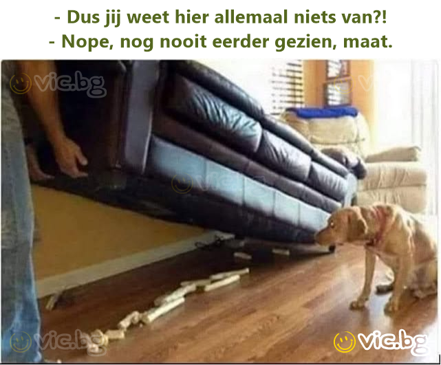 - Dus jij weet hier allemaal niets van?!  - Nope, nog nooit eerder gezien, maat.