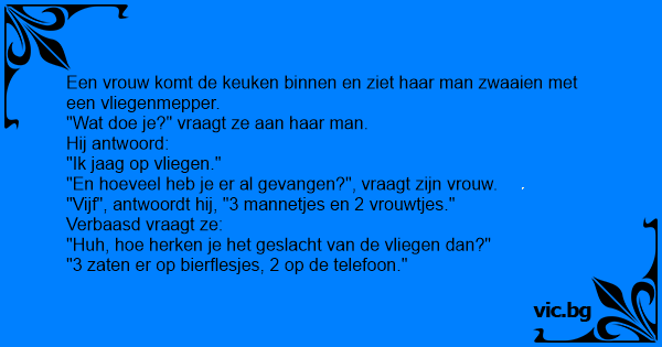 Een Vrouw Komt De Keuken Binnen En Ziet Haar Man Zwaaien Met Een Vliegenmepper Wat Doe Je Vraagt Ze Aan Haar Man Hij Antwoord Ik Jaag Op Vliegen En Hoeveel Heb Je