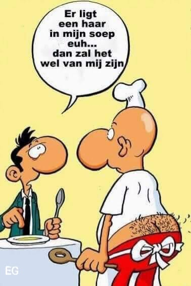 Er ligt een haar in mijn soep euh... Dan zal het wel van mij zijn
