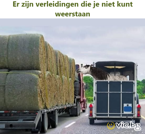 Er zijn verleidingen die je niet kunt weerstaan