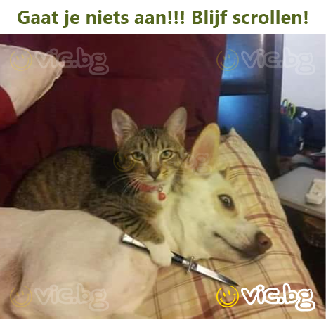 Gaat je niets aan!!! Blijf scrollen!