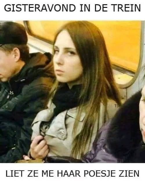 Gisteravond in de trein liet ze me haar poesje zien