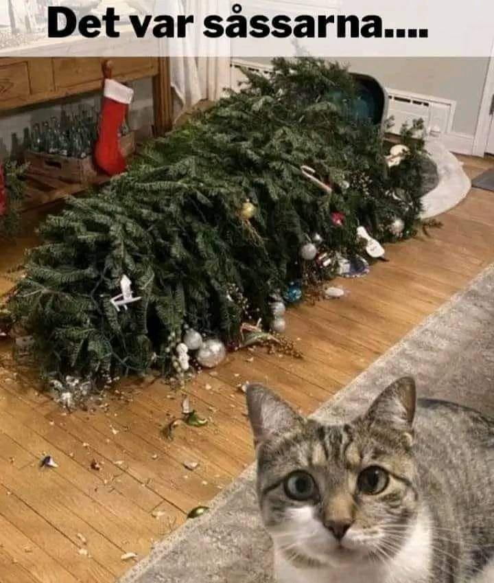 Het werkt veel beter nu ik alle mayonaise heb uitgelikt.