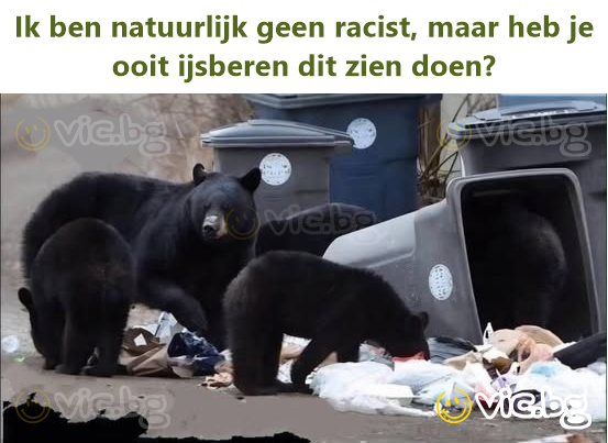 Ik ben natuurlijk geen racist, maar heb je ooit ijsberen dit zien doen?