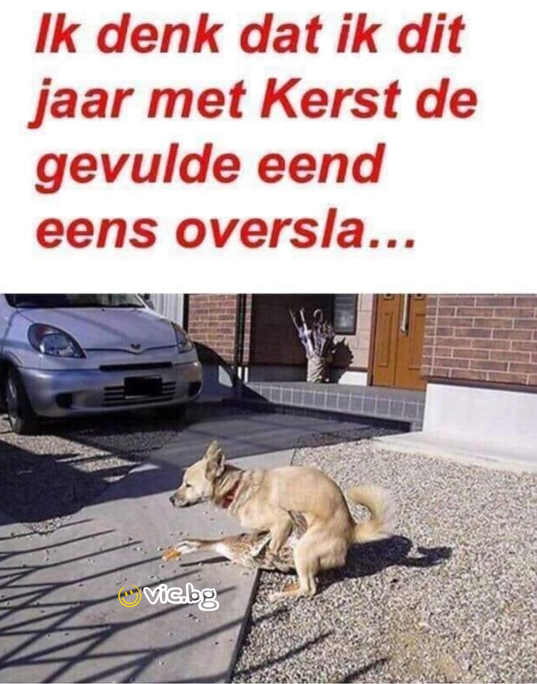Ik denk dat ik dit jaar met Kerst de gevulde eend eens oversla...