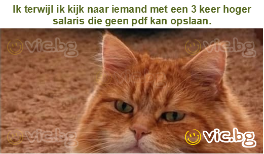 Ik terwijl ik kijk naar iemand met een 3 keer hoger salaris die geen pdf kan opslaan.