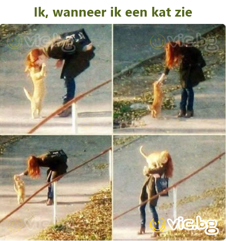 Ik, wanneer ik een kat zie