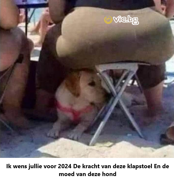 Ik wens jullie voor 2024 De kracht van deze klapstoel En de moed van deze hond