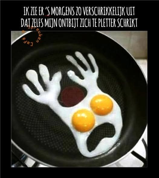 Ik zie er 's morgens zo verschrikkelijk uit dat zelfs mijn ontbijt zich te pletter schrikt
