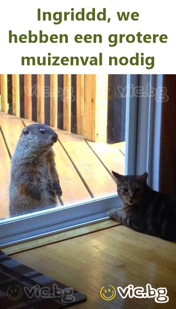 Ingriddd, we hebben een grotere muizenval nodig