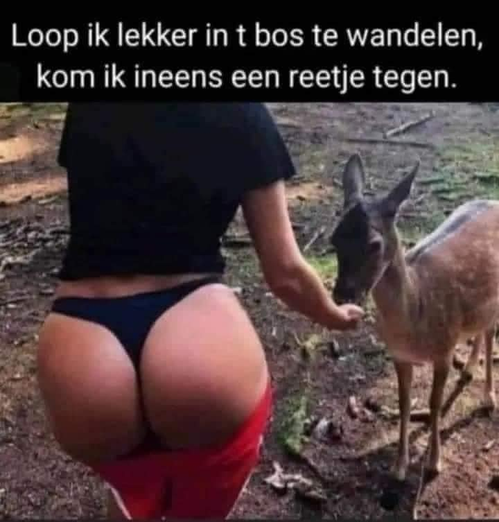 Loop ik lekker in t bos te wandelen, kom ik ineens een reetje tegen.