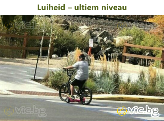 Luiheid – ultiem niveau